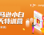 雨课·亚马逊小白特训营第9期 跨境电商挺赚钱的 有朋友已经月入几十万美金-老胡轻创社