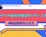 详细解析TIKTOK如何利用海外CPS+工具0粉丝轻松变现月入过万-老胡轻创社