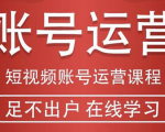 短视频账号运营课程:从话术到短视频运营再到直播带货全流程,新人快速入门-老胡轻创社