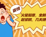 火星船票，全新风口赶紧抓，几天赚一万+摆地摊卖尾货月入一万（5个项目）-老胡轻创社