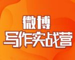村西边老王·微博超级写作实战营,帮助你粉丝猛涨价值999元-老胡轻创社