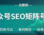 高鹏圈公众号SEO矩阵号群,实操20天纯收益25000+,普通人都能做-老胡轻创社