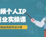 短视频个人IP商业实操课，百万粉丝实战方法分享，小白也能实现流量变现-老胡轻创社
