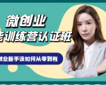 微创业全能训练营认证班课程,从理论知识与实际案例手把手指导创业新手如何从零到有-老胡轻创社