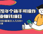 20多个新手可操作的副业赚钱项目：业余时间0基础日入几500+实操分享-老胡轻创社