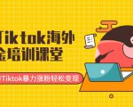 最新Tiktok海外掘金培训课堂：带你玩转Tiktok暴力涨粉轻松变现-老胡轻创社