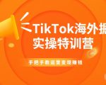 TikTok海外掘金实操特训营：手把手教运营变现赚钱-老胡轻创社