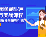 2021闲鱼副业月入过万实战课程:从开店到选择货源到引流,全程实战教学-老胡轻创社
