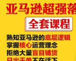 亚马逊超强落地实操全案课程:拒绝大量盲目铺货,日出千单不在话下-老胡轻创社
