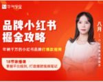 品牌小红书掘金攻略，年销千万的小红书品牌打爆款指南-老胡轻创社