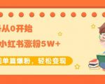 生财小红书涨粉变现:新账号从0开始3个月小红书涨粉5W+实现单篇爆粉-老胡轻创社