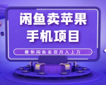 闲鱼卖苹果手机项目，教你闲鱼卖货月入上万-老胡轻创社
