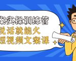 文案实操训练营，只说话就能火的短视频文案课-老胡轻创社