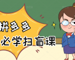 拼多多商家开店入门必学,0基础新手小白扫盲课(58节视频课程)-老胡轻创社