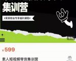 夜草与千里马素人短视频带货集训营,薛辉团队价值599-老胡轻创社