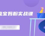 百度贴吧引流宝妈粉实战课，小白也可以日引100+精准粉-老胡轻创社