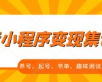抖音小程序变现集训课,养号、起号、书单、趣味测试、视频剪辑,全套流程-老胡轻创社