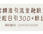 1套精准引流金融粉方法,轻松日引300+粉丝-老胡轻创社