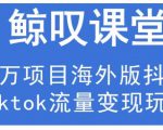 鲸叹号·海外TIKTOK训练营，百万项目海外版抖音tiktok流量变现玩法-老胡轻创社