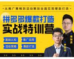 玺承云·拼多多爆款打造实战特训营,一套从入门到高手课程,让你快速拿捏拼多多-老胡轻创社