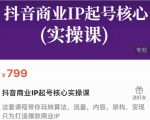 抖音商业IP起号核心实操课,带你玩转算法,流量,内容,架构,变现-老胡轻创社