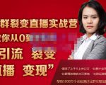 蚂蚁社群电商·社群裂变直播实战营,教你从0到1实现引流、裂变、直播、变现-老胡轻创社