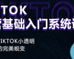Tiktok实操进阶课程,体验从tiktok小透明到大佬的完美蜕变-老胡轻创社