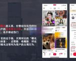 麦子互娱短视频带货·0基础做好物分享账号,无需出镜无需货源无需拍摄-老胡轻创社