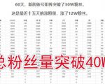 倪叶明·蓝海公众号矩阵项目训练营，0粉冷启动，公众号矩阵账号粉丝突破30w-老胡轻创社