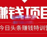 懒人领域·今日头条项目玩法，头条中视频项目，单号收益在50—500可批量-老胡轻创社