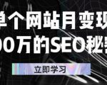 单个网站月变现100万的SEO秘密，百分百做出赚钱站点-老胡轻创社
