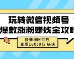 玩转微信视频号爆款涨粉赚钱全攻略，快速涨粉百万变现万元秘诀-老胡轻创社