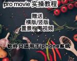 漆十二美食摄影,25节promovie实操高手课节-老胡轻创社