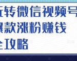 玩转微信视频号爆款涨粉赚钱全攻略,让你快速抓住流量风口,收获红利财富-老胡轻创社