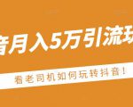 老古董·抖音月入5万引流玩法,看看老司机如何玩转抖音(附赠:抖音另类引流思路)-老胡轻创社