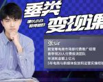 张sir·垂类变现课，抖音带货新手才看粉丝量，高手都看变现效率-老胡轻创社