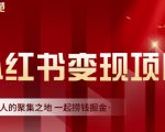 渣圈学苑·小红书虚拟资源变现项目，一起捞钱掘金价值1099元-老胡轻创社