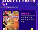 朱白板抖音带货进阶课，实操运营+主播不玩虚的-老胡轻创社