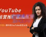 外国人眼中的YouTube该怎么玩？Elisa·YouTube运营推广实战技巧-老胡轻创社