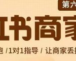 贾真-小红书商家营第6期商家版,21天带货陪跑课,让商家丢掉付流量-老胡轻创社