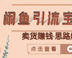 闲鱼引流宝妈粉+卖货赚钱一个月收益30000+(实操视频教程)-老胡轻创社