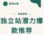 【跨境B哥】独立站潜力爆款选品推荐,测款出单率高达百分之80-老胡轻创社