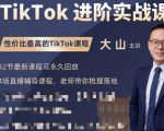 大山老师TikTok进阶实战课：账号详解，流量运营，实战变现，助力你成功出海-老胡轻创社