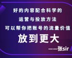 张sir账号流量增长课，告别海王流量，让你的流量更精准-老胡轻创社
