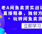 老A闲鱼卖货实战课，简单直接粗暴，独创方法带你玩转闲鱼卖货！-老胡轻创社