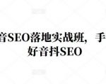王通·抖音SEO落地实战班，手‬手带你做好音抖‬‬SEO-老胡轻创社
