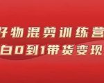 万三好物混剪训练营:小白0到1带货变现课-老胡轻创社