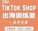疯人院:TikTok Shop出海训练营(一店卖全球),出海抢占全球新流量-老胡轻创社