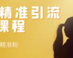 soul精准引流系列课程,每天引流100精准粉-老胡轻创社