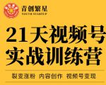 张萌21天视频号实战训练营，裂变涨粉、内容创作、视频号变现 价值298元-老胡轻创社